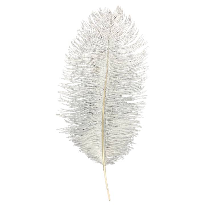 Plush Appeal LLC - Wholesale Feathers - White Ostrich Feather Plume 18" to 20" (Each)