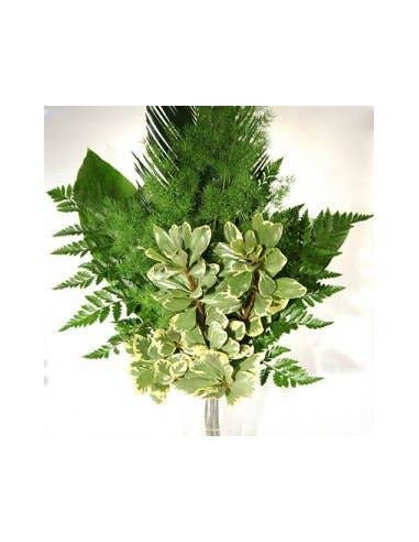 Florasource - Wholesale Fresh Cut Flowers - Greenery "drop in" Bouquets MEDIUM 5 / 10 / 15 / 20 bunches0