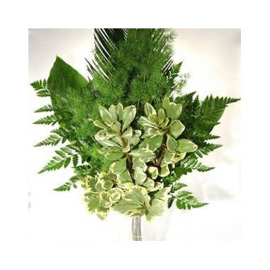 Florasource - Wholesale Fresh Cut Flowers - Greenery "drop in" Bouquets MEDIUM 5 / 10 / 15 / 20 bunches