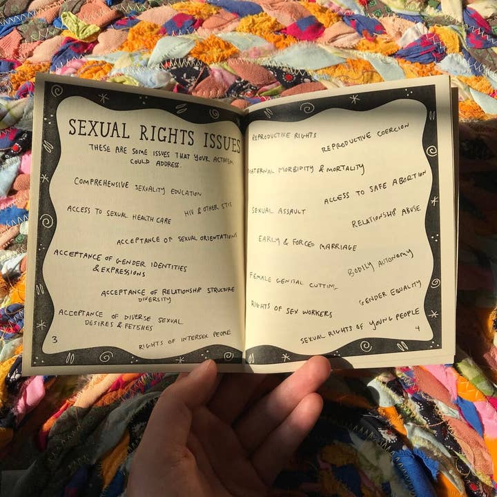 Pleasure Pie - Wholesale Social Sciences Book - Sexual Freedom Activism Field Guide Zine | Sex Education2