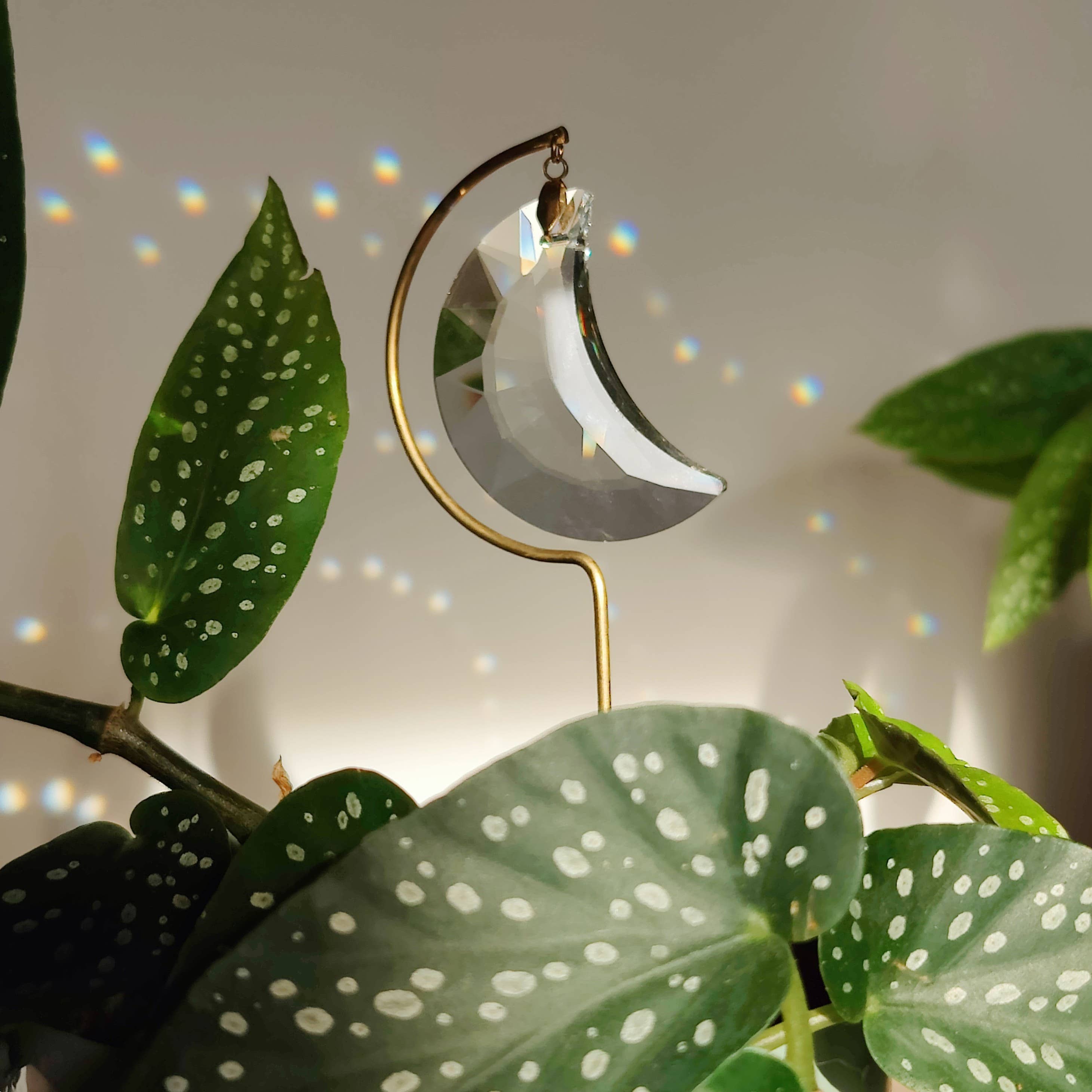 Atelier Intuitive - Wholesale Suncatcher - LUNA • Brass and crystal suncatcher to plant
