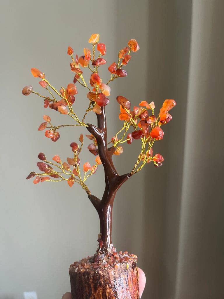 jiomind - Wholesale Spiritual Stone/Crystal - Red Carnelian Crystal Tree (100 chips)6