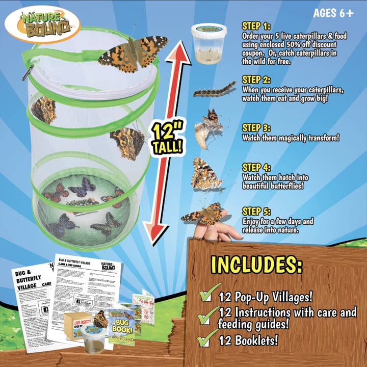 Thin Air Brands - Wholesale Toy Set - Kids - Butterfly Kit in PDQ5