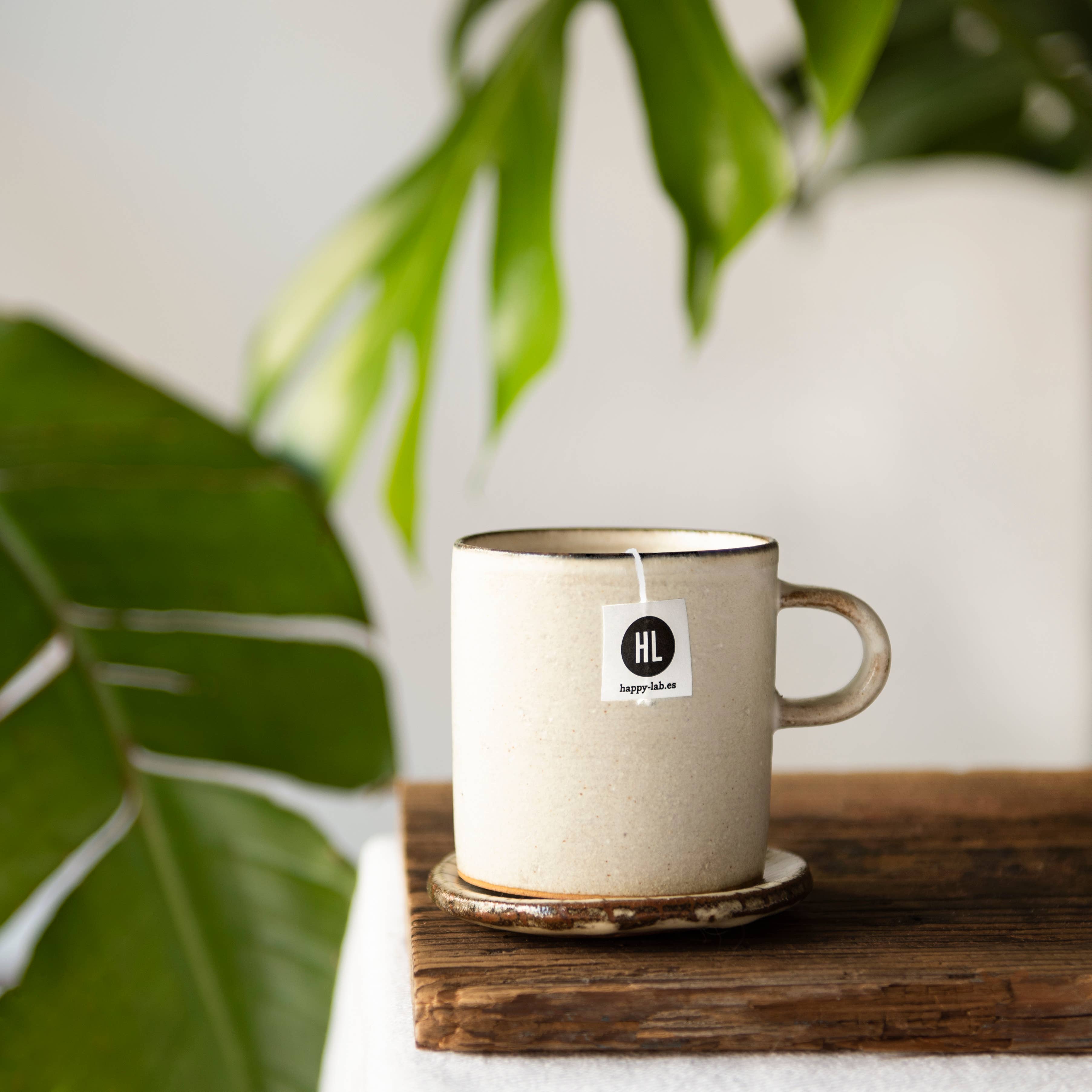 Gourmandise - Wholesale Health/Detox Tea - Organic herbal tea Happy-Lab Echinacea Ecopack 25 pyramids2