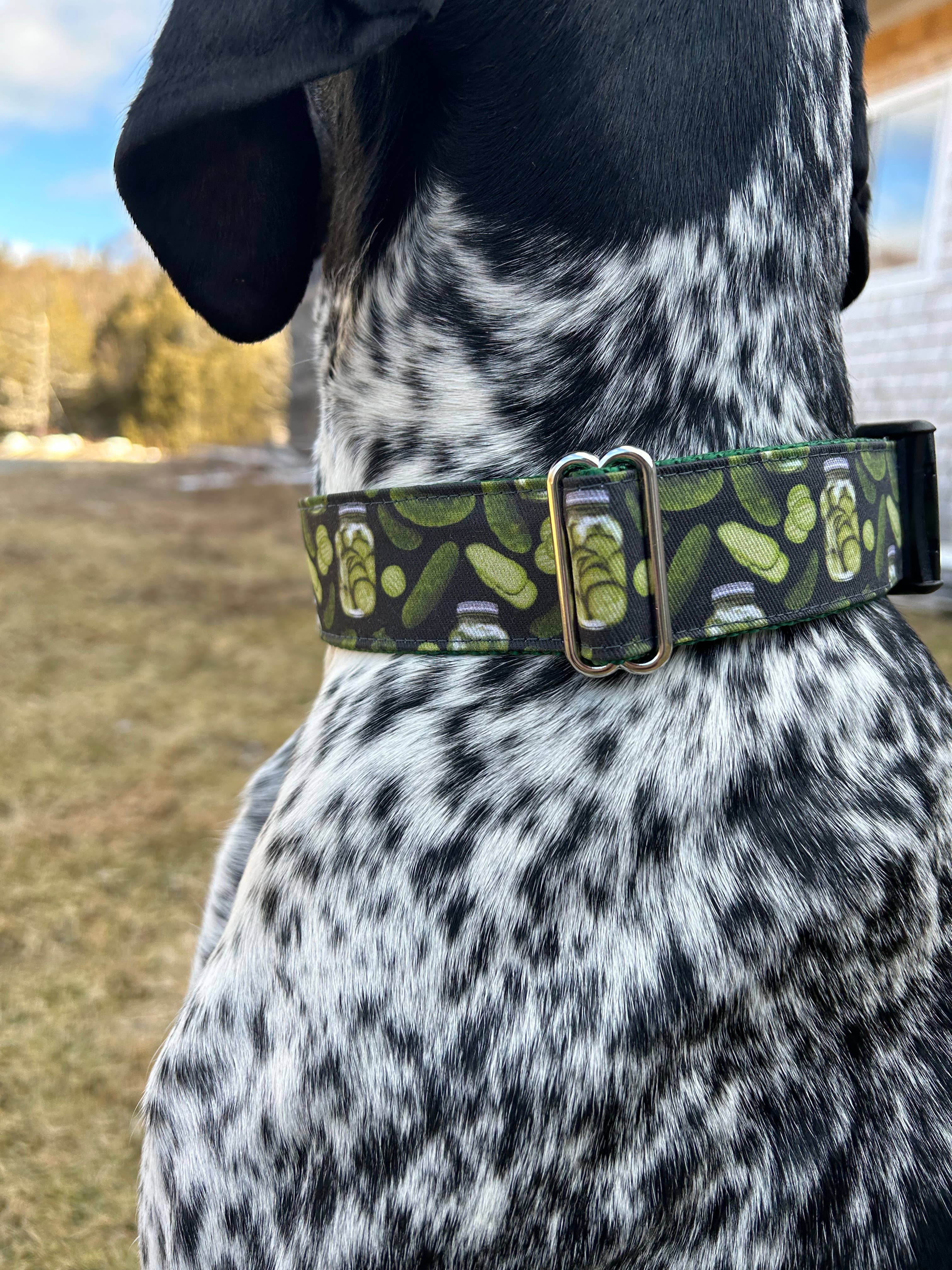 Sew Fetch Dog Co - Wholesale Pet Collar - Dog - Pickle Dog Collar, Pickle gift, Funny pickles2