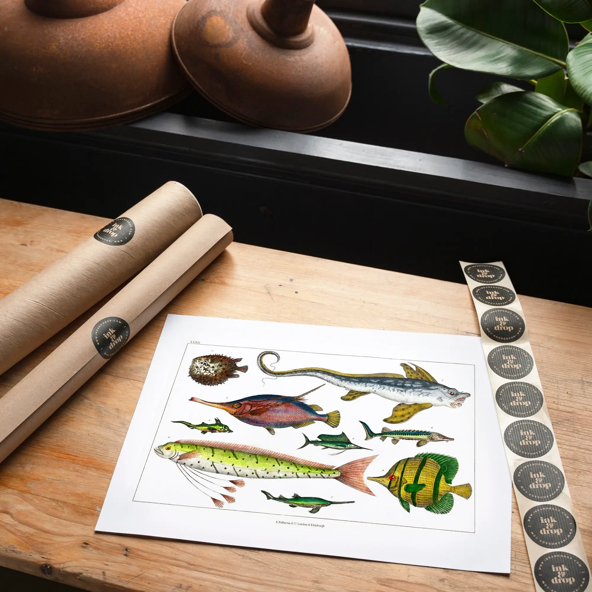 Ink & Drop – wholesale Art print – Fish Vintage Antique Print1