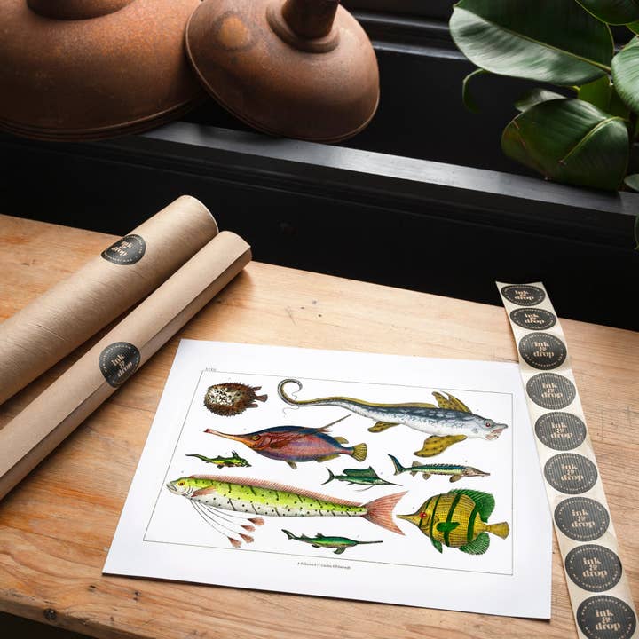 Ink & Drop – wholesale Art print – Fish Vintage Antique Print1