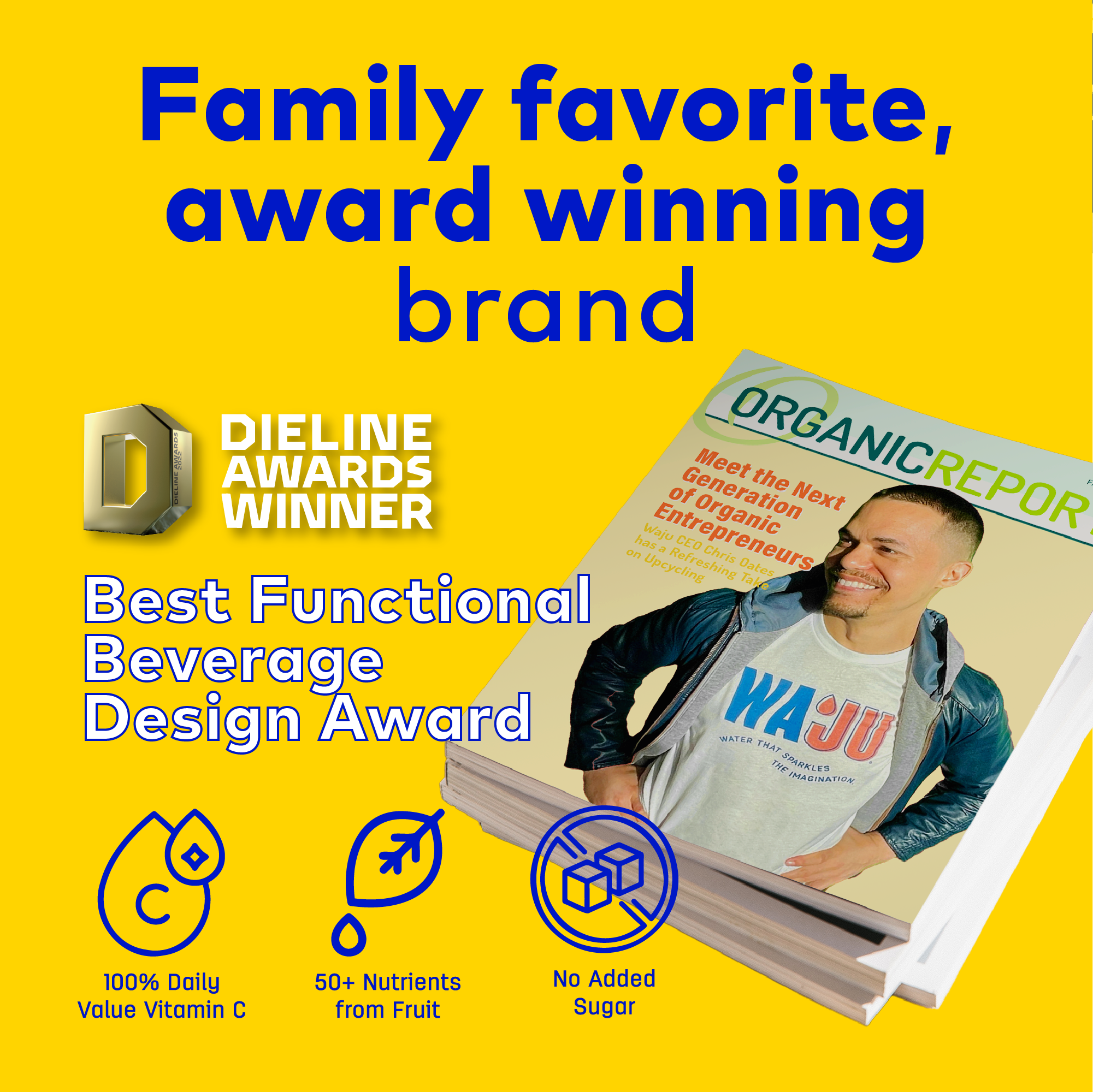 WAJU Water - Wholesale Sparkling Water - Lemon Water from Fruit | Sparkling Water | Antioxidants4