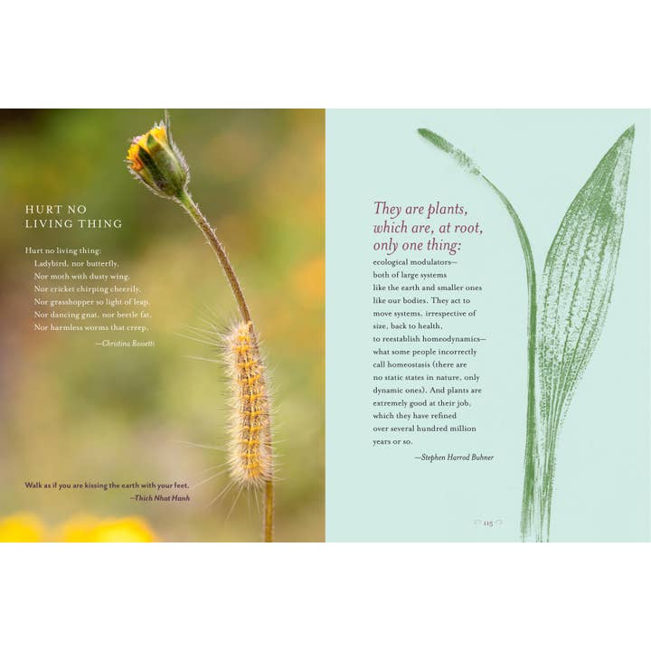 Hachette Book Group - Wholesale Nature & Outdoors - The Generosity Of Plants3