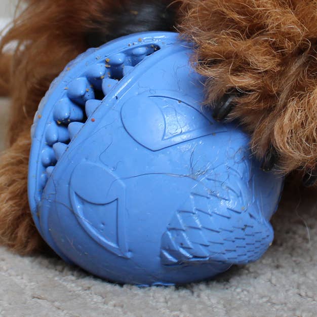 Henry Wag - Vente Jouet – chien - Jolly Pets Jouet Balle Monstre pour Chien2