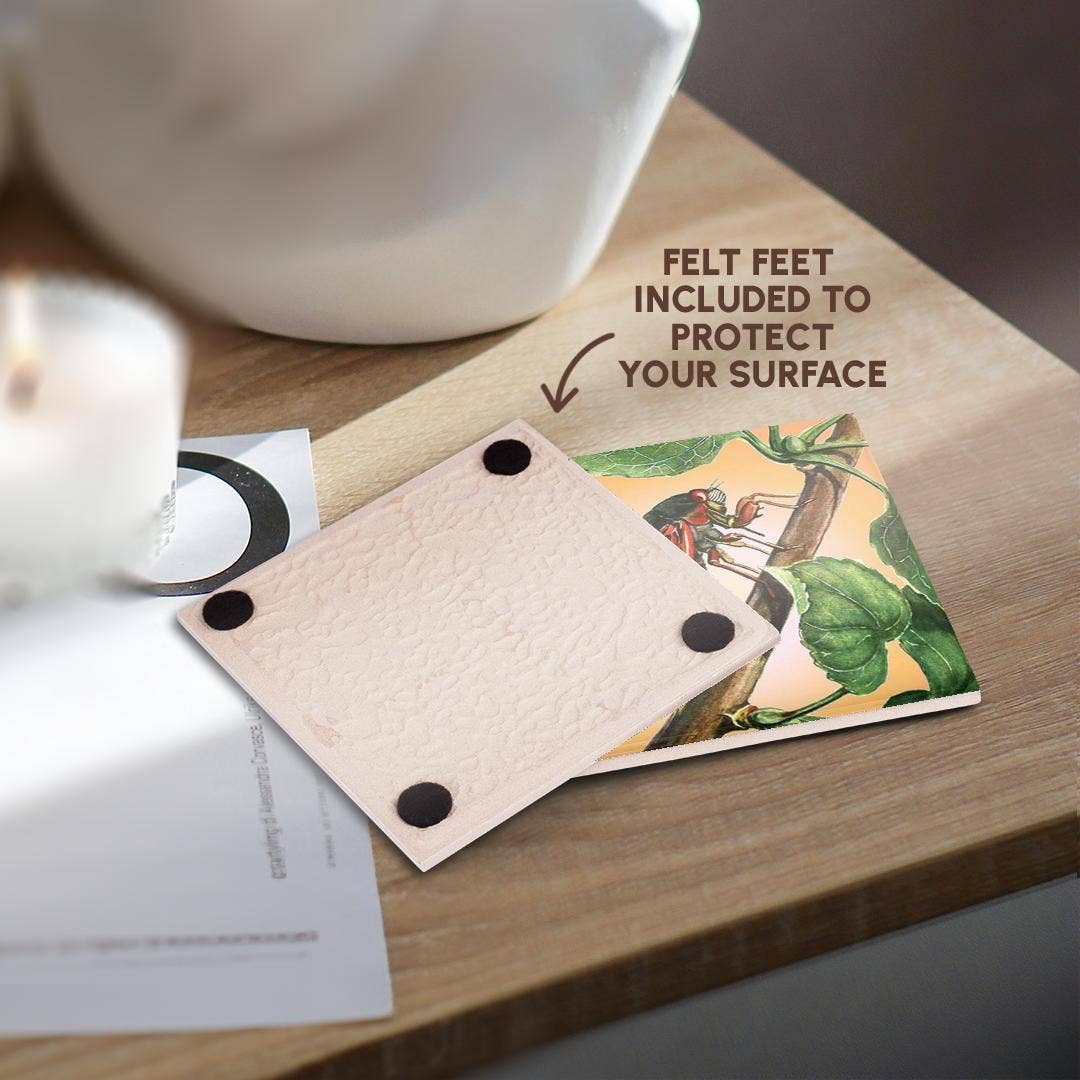 3dRose - Wholesale Coasters - 3dRose, Cicada - cicada, cicadas, magicicada septendecim, insect, insects, bugs, winged insects, Coaster3