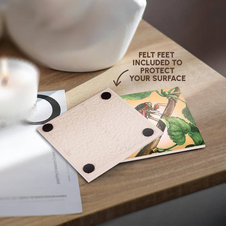 3dRose - Wholesale Coasters - 3dRose, Cicada - cicada, cicadas, magicicada septendecim, insect, insects, bugs, winged insects, Coaster3