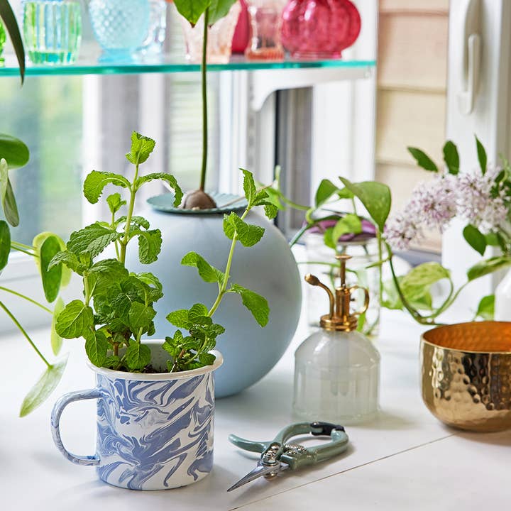 Modern Sprout - Wholesale DIY Craft Kit - Altered Herbs Mug Grow Kits