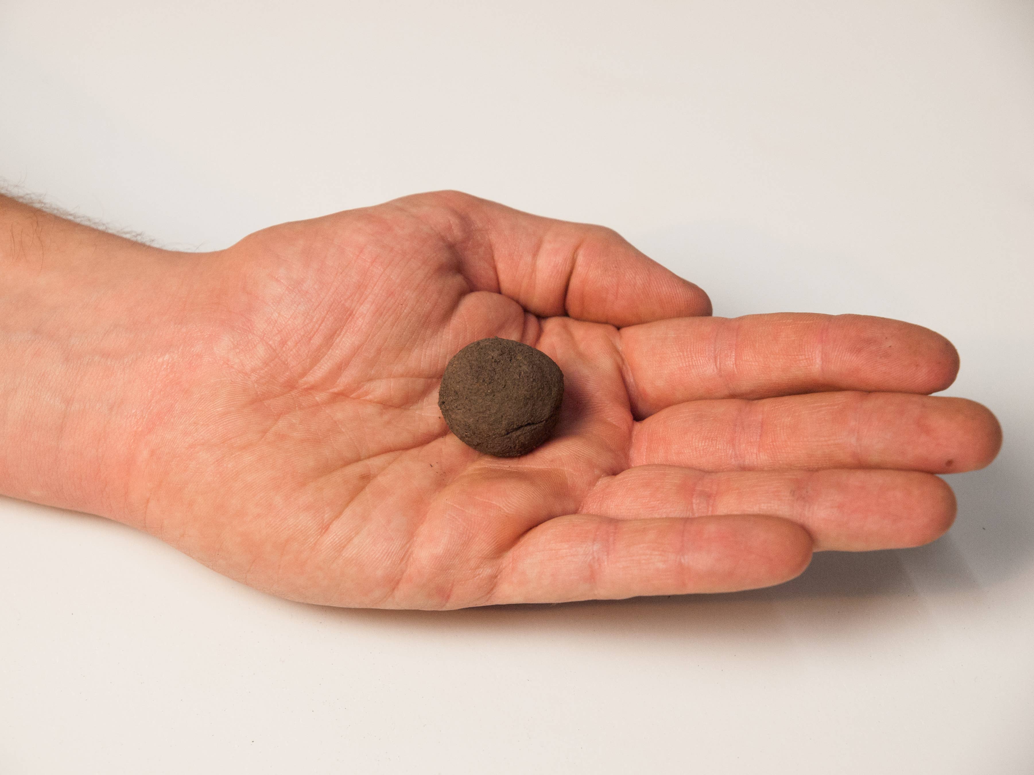 Zaadbom – wholesale Plant seeds – Seed bombs (10) in a bag: Bee mix1