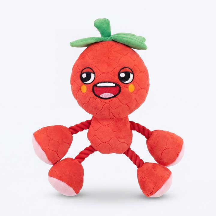 Ropez Seil Körper Frucht Freunde Hundespielzeug - Rot für den Großhandel von Silver Paw