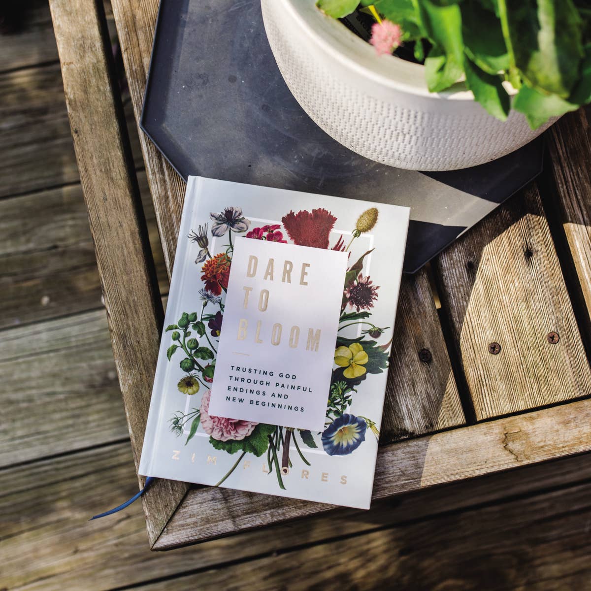 HarperCollins Christian Publishing - Wholesale Self-Help & Personal Development - Dare To Bloom9