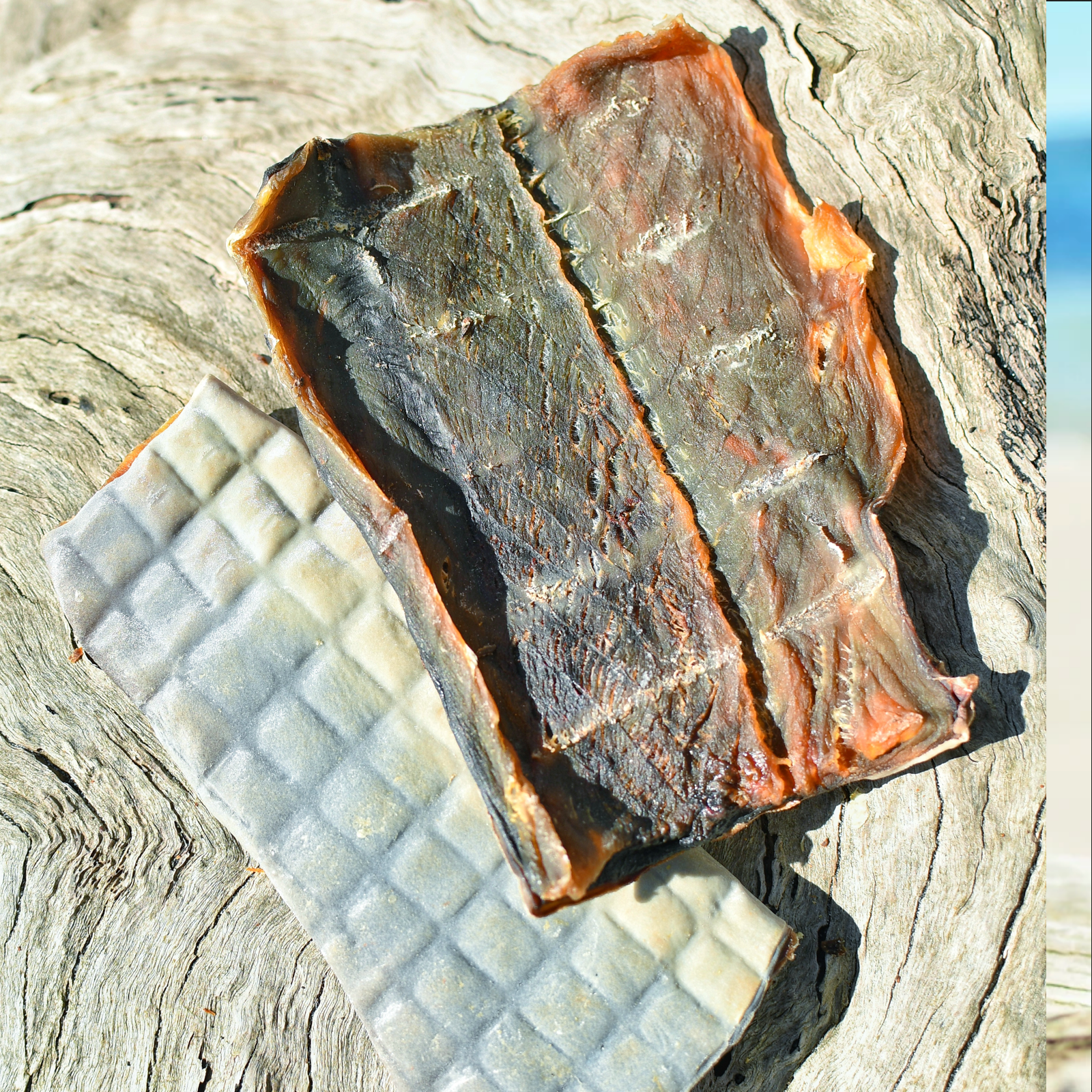 Rover Pet Products - Vente Friandises – chien - Sumthn' Fishee - Peau de requin5