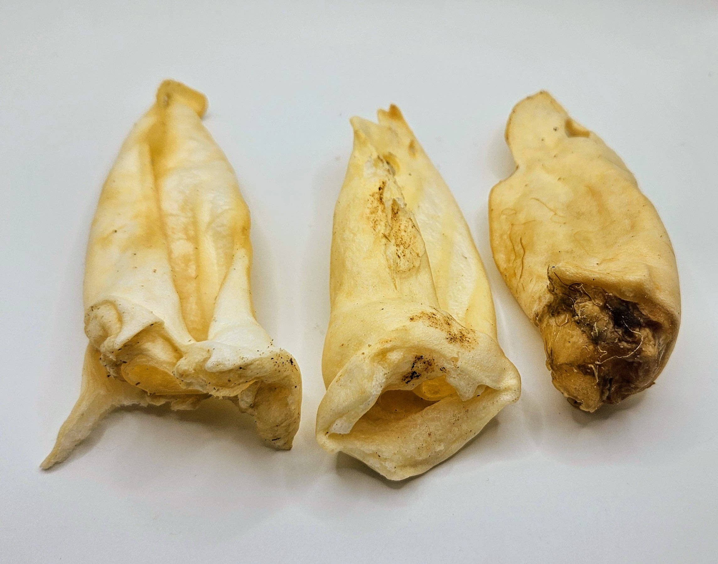 Blue's Colorado - Wholesale Pet Treats - Dog - Pet Provisions Lamb Ears2