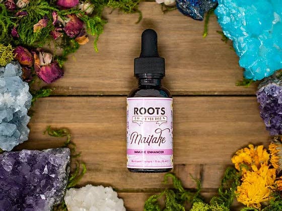 Roots To Remedies - Wholesale Tincture - MAITAKE MEDICINAL MUSHROOM TINCTURE