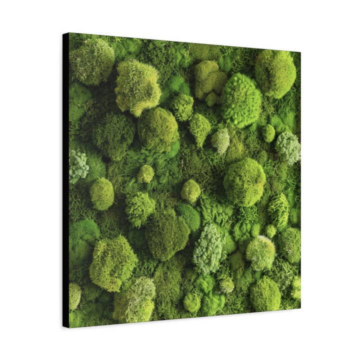 VORA + VINE - Wholesale Wall Decor - Kids & Baby - Living Moss Canvas Print