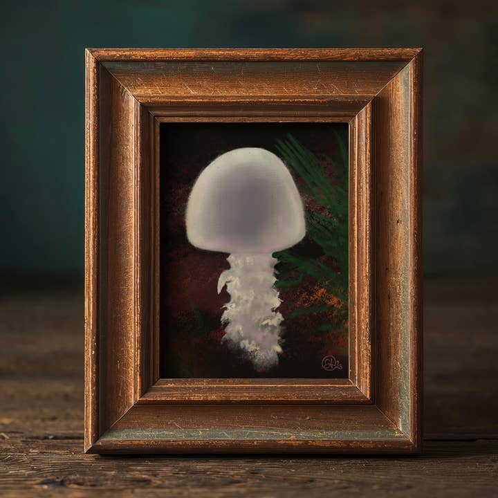 Imaginarium Arts - Wholesale Art Print - Shaggy Lace Mushroom Fine Art Print, 8x10 1
