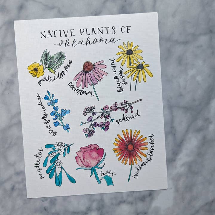 Kallos Ink – wholesale Art print – Native Plants of Oklahoma 8x10 Print1