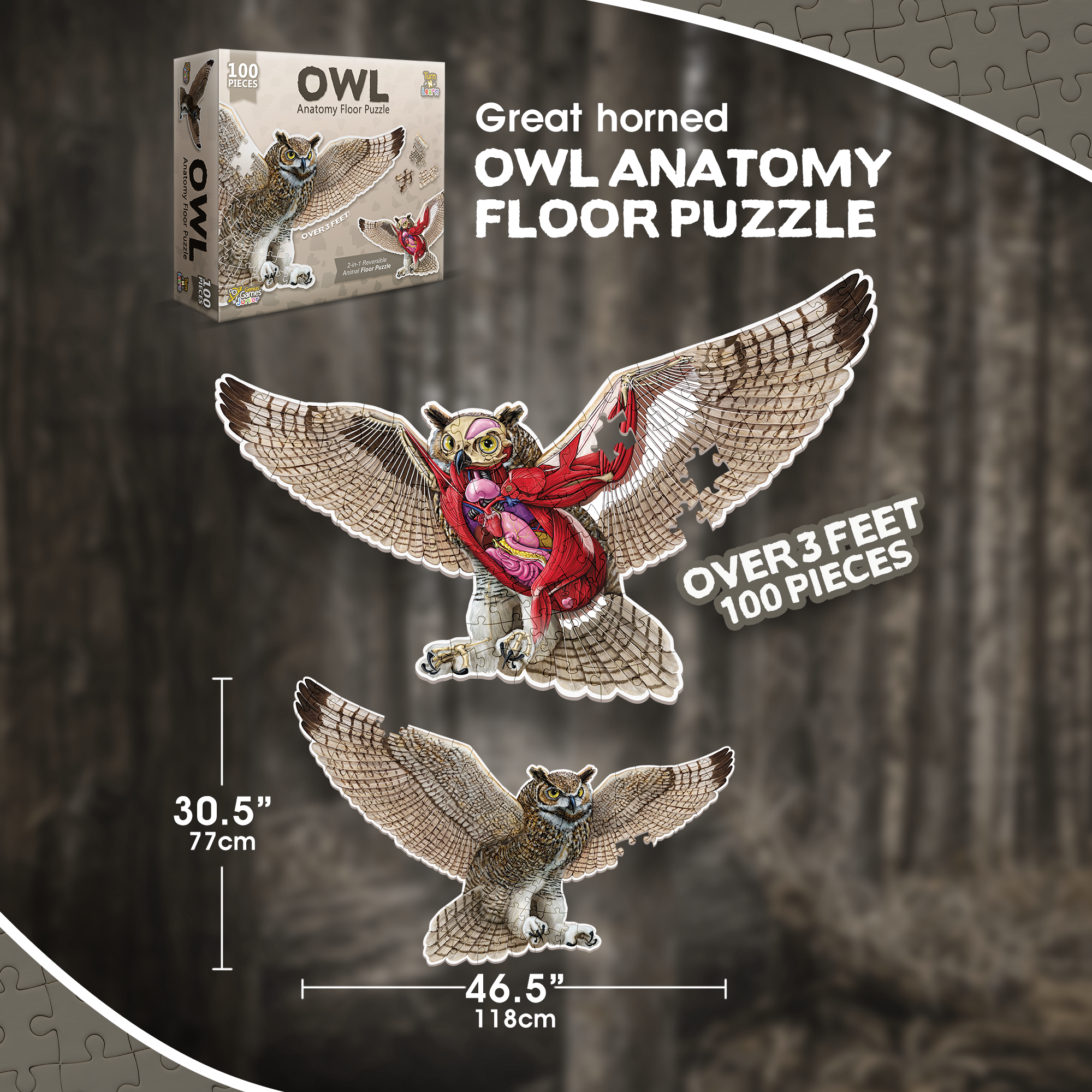 Genius Games - Wholesale Puzzle - Kids - Turn N Learn: Owl Puzzle5