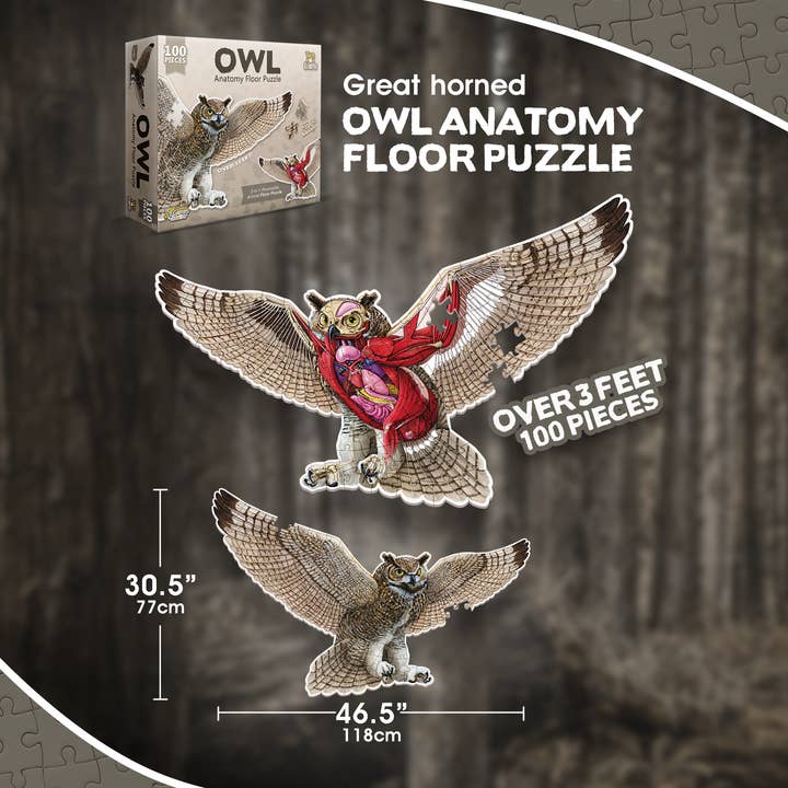 Genius Games - Wholesale Puzzle - Kids - Turn N Learn: Owl Puzzle5