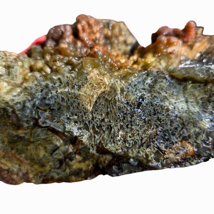 Maury Mountain Moss Agate Lapidary Cutting Rough Chunk for wholesale by Lapidary Central