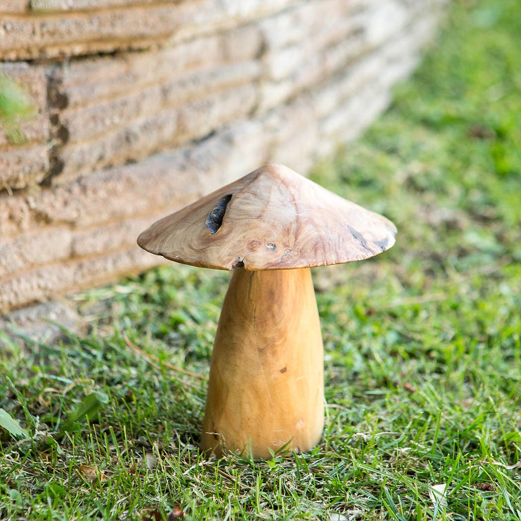 Garden Age Supply - Vente Bibelots/décorations d'extérieur - Champignons à la racine d'arbre à thé2