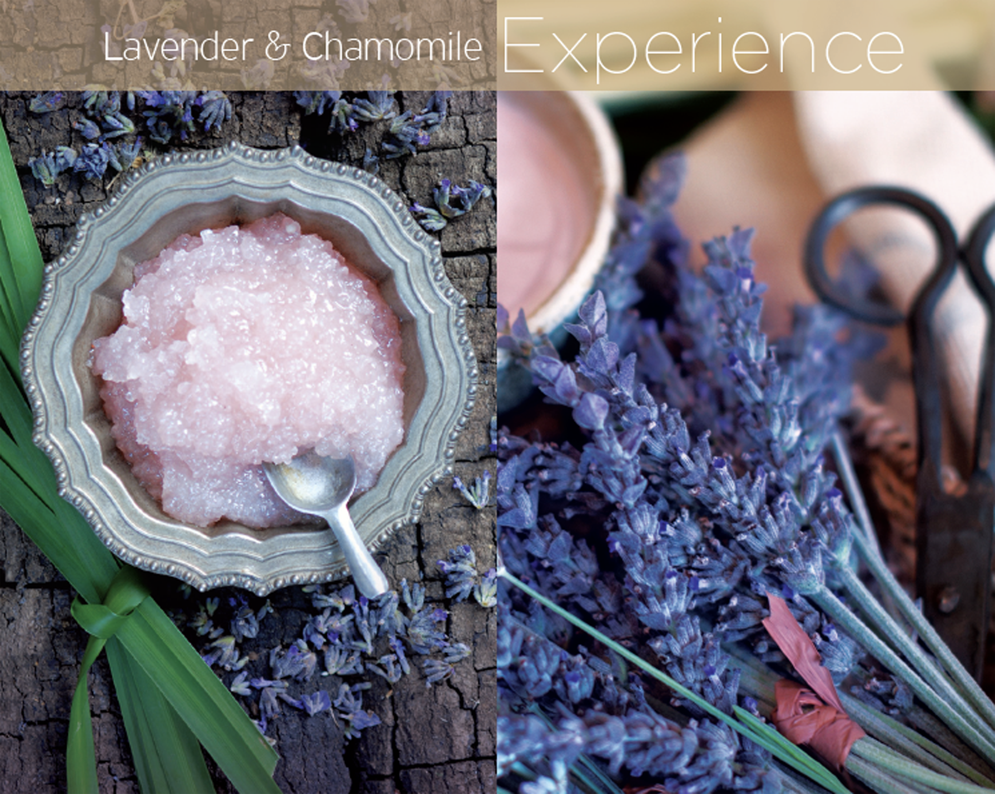 Cuccio - Wholesale Cuticle oil - Mini Cuticle Oils10