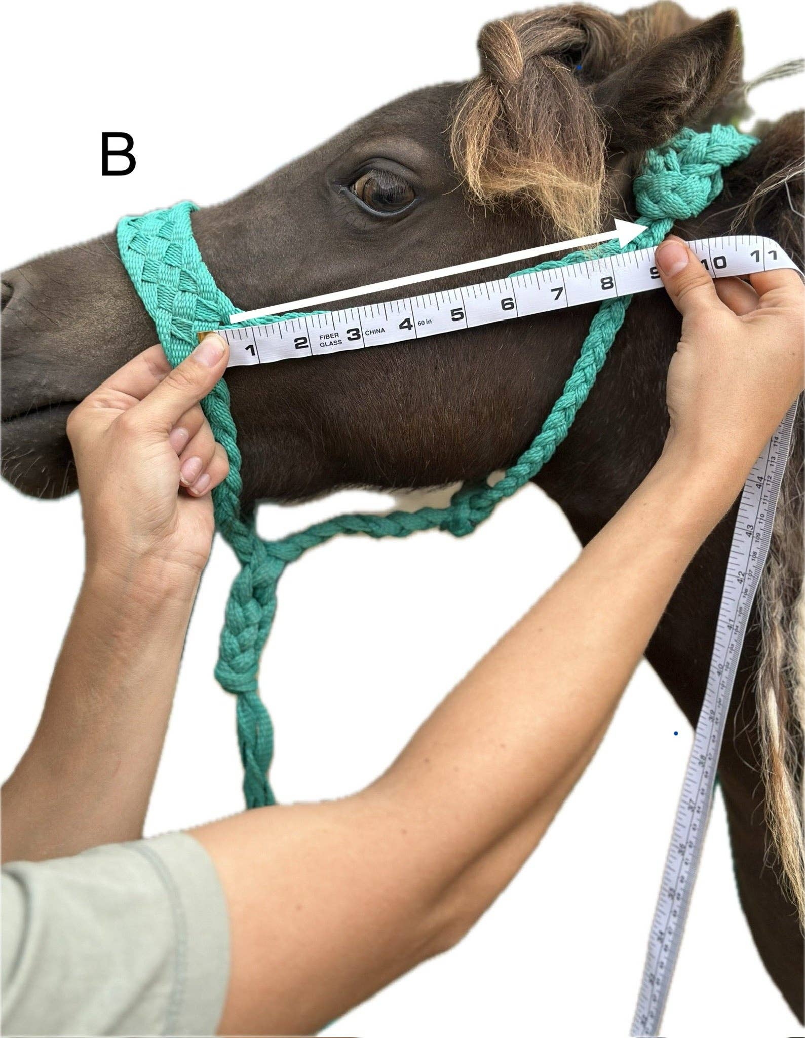 Wilder Trading Company – wholesale Horseback riding gear – Custom Halter & Lead Rope5