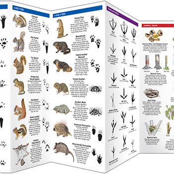 National Book Network - Wholesale Nature & Outdoors - Animal Tracks: A Folding Pocket Guide1