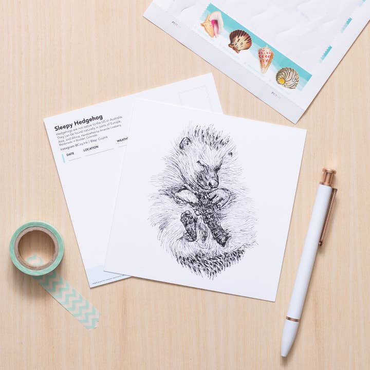 Søvnig pindsvinkunst for engroshandel hos Coy Ink Studio