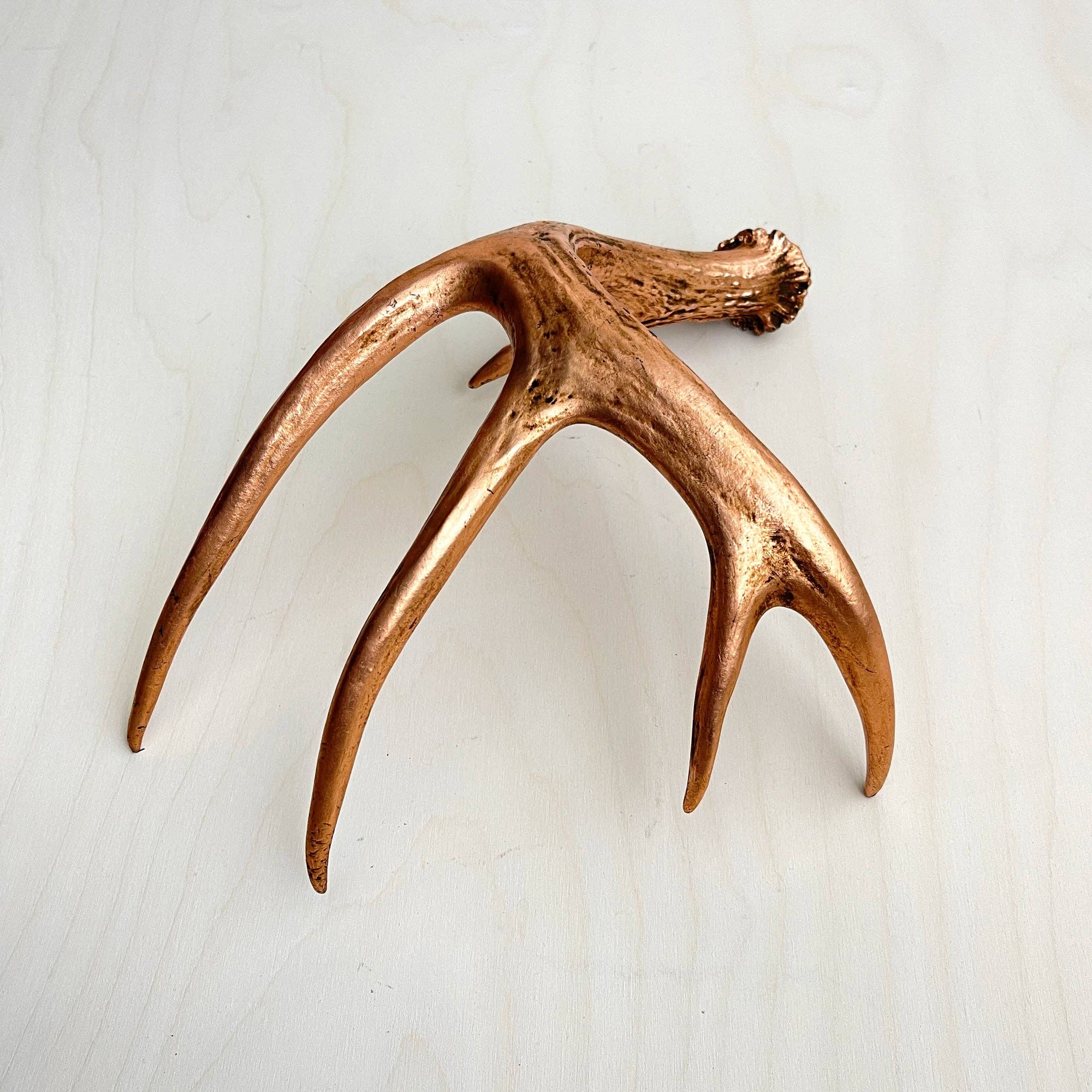 Farmhaus + Co. - Wholesale Decorative Tabletop Object - Antler Accents - Gilded4