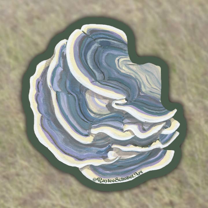 Turkey Tail Vinyl Sticker for wholesale by Raylee Schobel