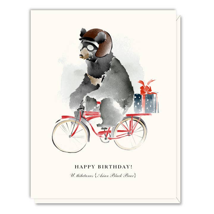 Tarjeta de cumpleaños con oso de bicicleta para venta al por mayor de Driscoll Design