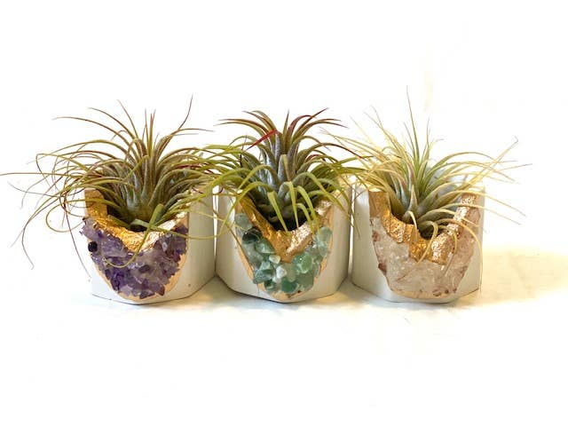 Plant One On Me Designs - Wholesale Plant Pot - MIXED - Natural and White Crystal Geode Planter w Air Plant4