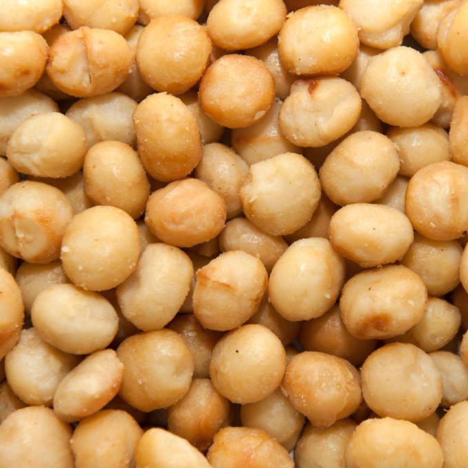 Macadamia salada 580 Gr estuche Botella leche para venta al por mayor de Les Garrigues