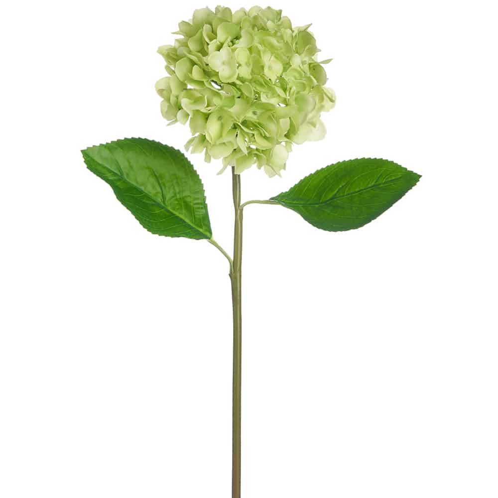 Dried Decor - Wholesale Artificial Flowers - 21.5" Real Touch Hydrangea Spray | 12 Stems | Lime3