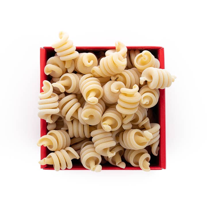 Pastificio dei Campi - Wholesale Pasta - Pasta di Gragnano PGI - Trottole, 500g Made in Italy1