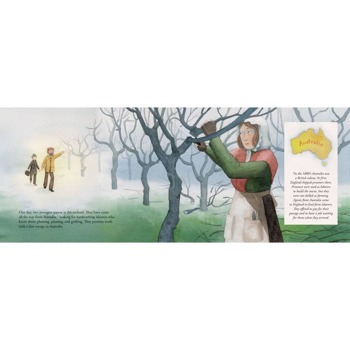 Peter Pauper Press - Wholesale Early Reader Book (6-8) - Granny Smith Was Not an Apple4