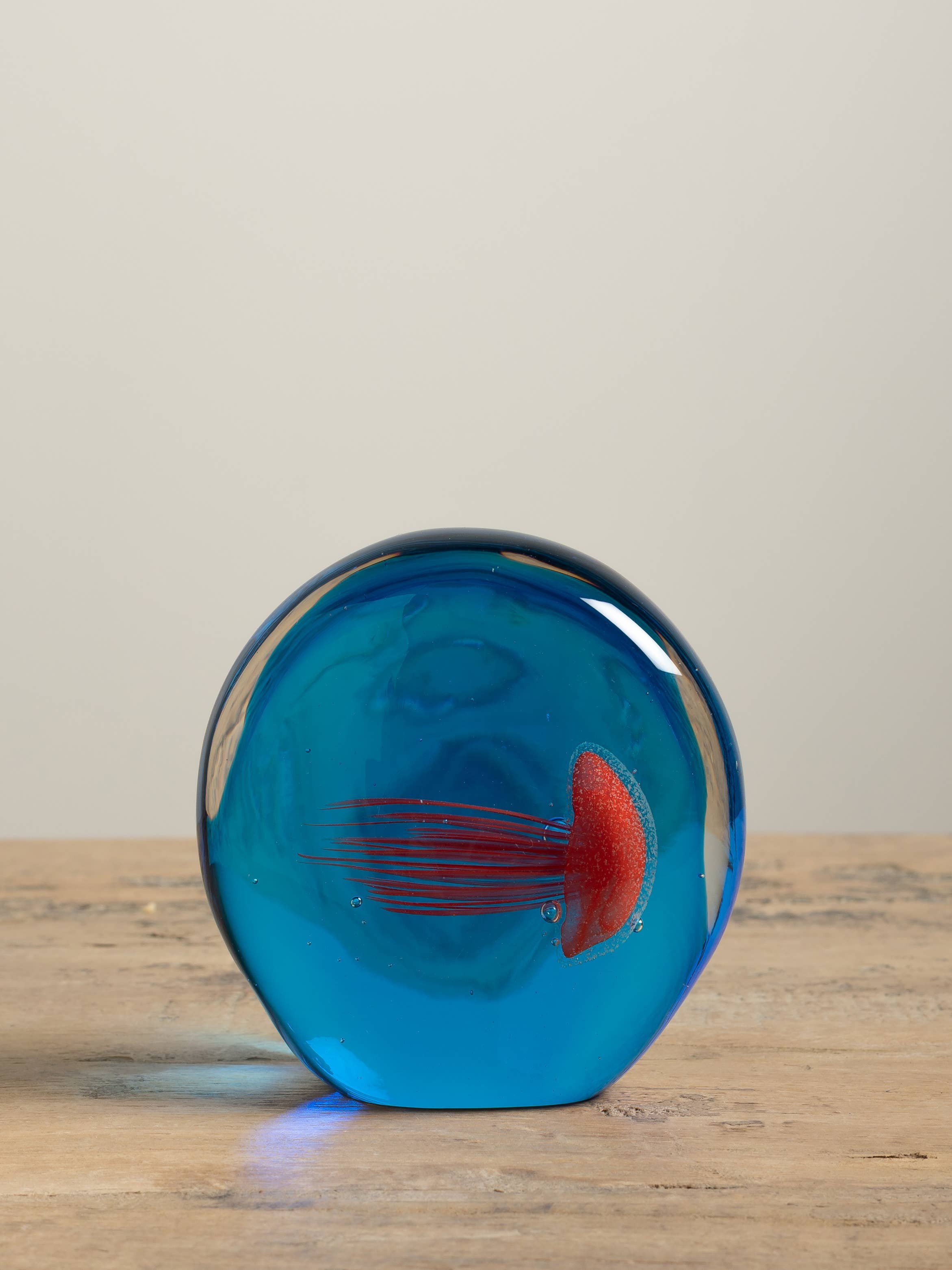 Chehoma USA - Vente Presse-papier - Presse-papier réversible rouge contre méduse noire0