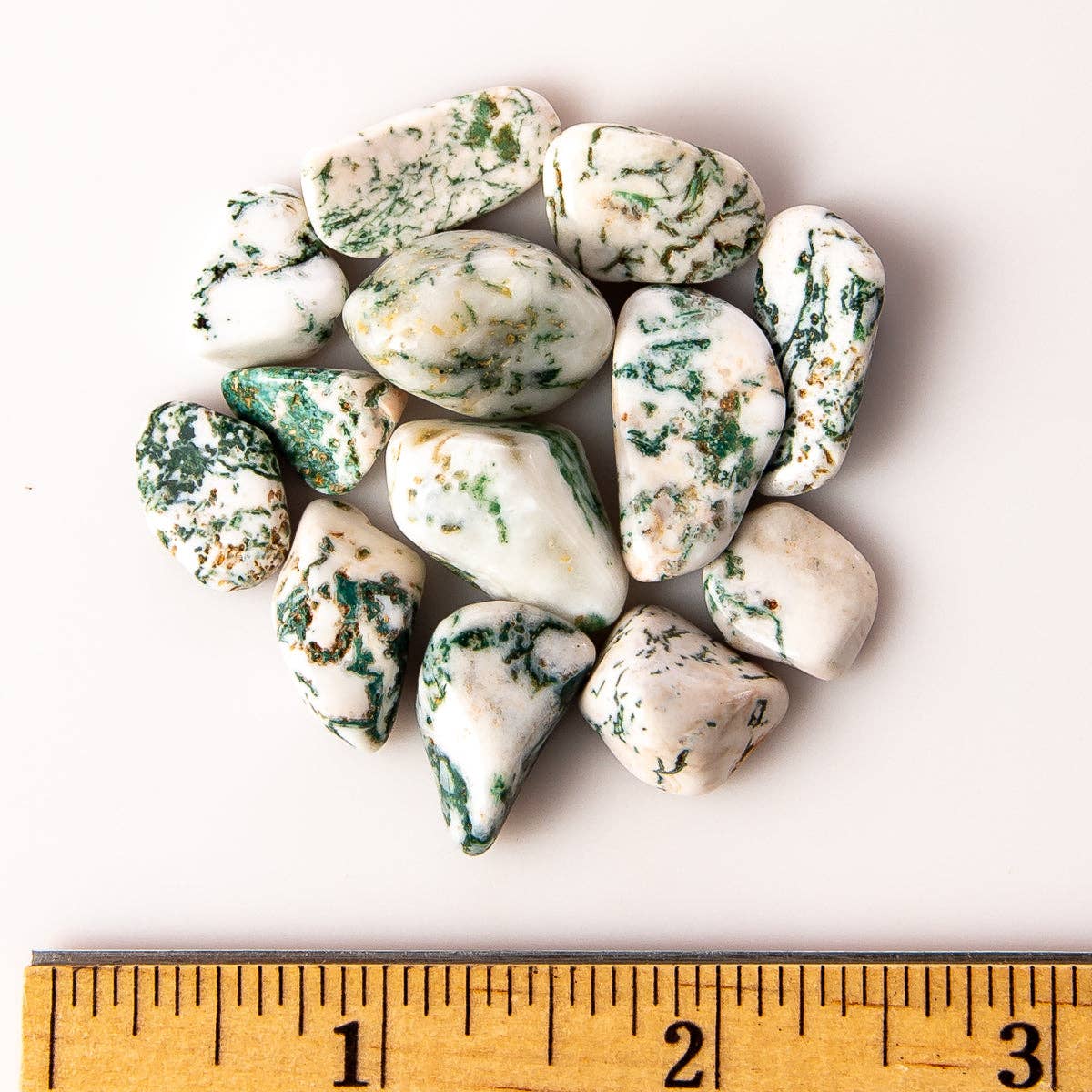 Tree of Life Gems - Wholesale Spiritual Stone/Crystal - Small Tumbled Tree Agate1