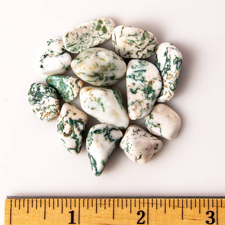 Tree of Life Gems - Wholesale Spiritual Stone/Crystal - Small Tumbled Tree Agate1