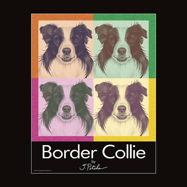 Impressão fosca Border Collie 40,6 x 50,8 cm. O tapete é selado em uma bolsa transparente por atacado de SJT Enterprises, Inc.