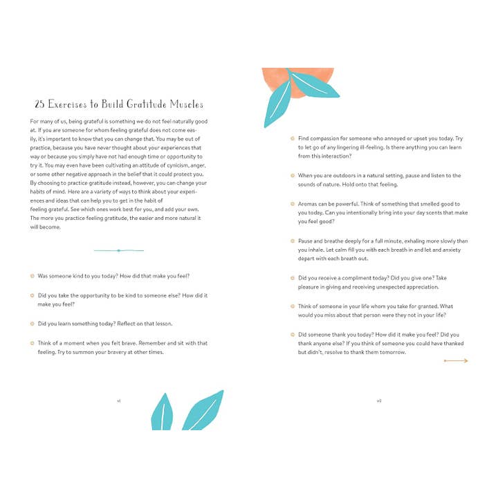 Blue Star Press - Wholesale Journal/Diary - Best Worst Grateful: A Daily 5 Minute Mindfulness Journal1