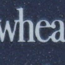 Everyday Supply Co - Wholesale Pasta - DI MARTINO PASTA SPAGHETTI - Case of 202