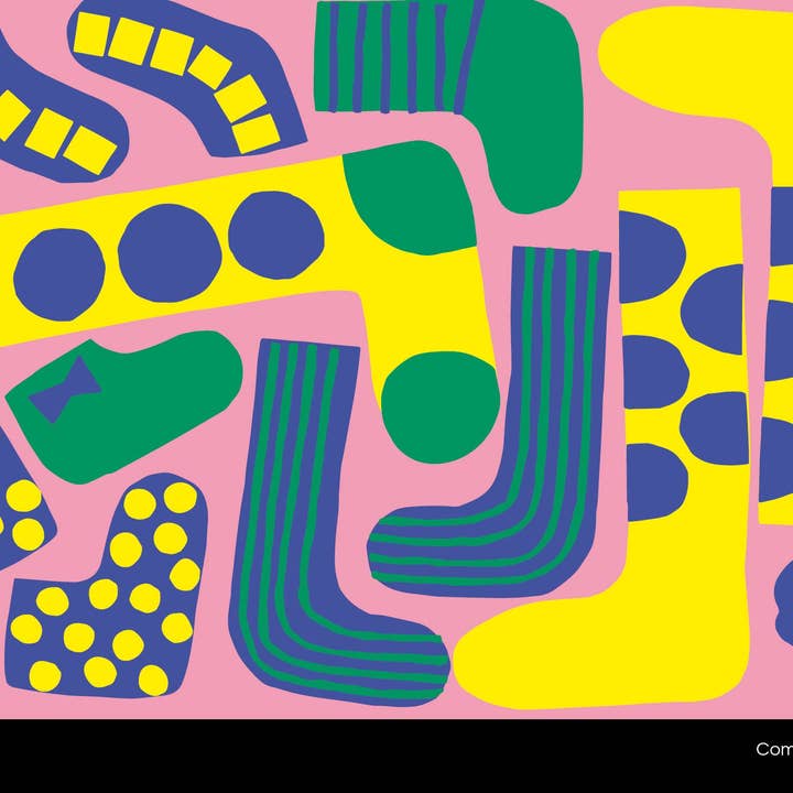 Schiffer Publishing - Wholesale Pre-school book (3–5) - The Chameleon: A Seek and Find Book3