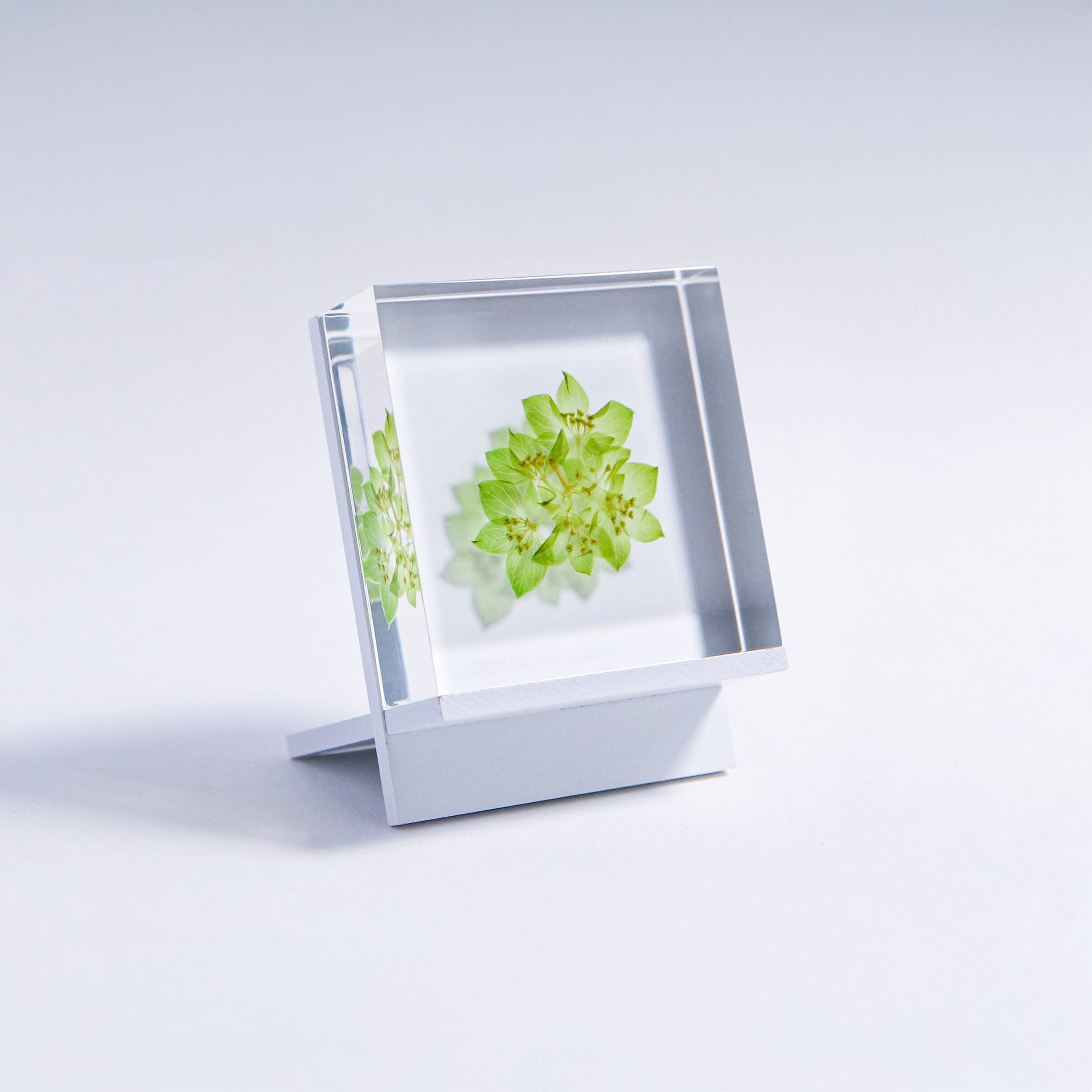 Sola cube - Vente Décorations de table - Support de carreaux solaires